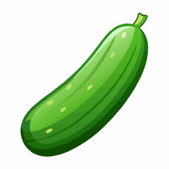 illustration of cucumber