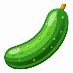 illustration of cucumber