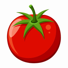 tomato illustration