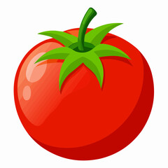 tomato illustration