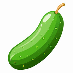 illustration of cucumber