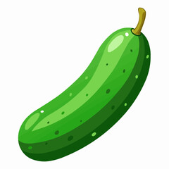 illustration of cucumber
