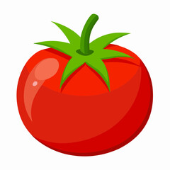 tomato illustration