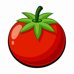 tomato illustration