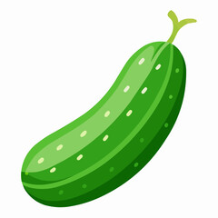 illustration of cucumber