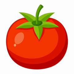 tomato illustration