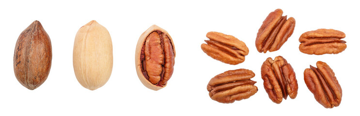 pecan nut isolated on white background. Top view. Flat lay. Set or collection