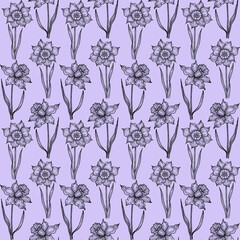 Hand drawn black pencil daffodil drawing seamless pattern isolated on purple background. Can be used for textile, fabric and other printed products.