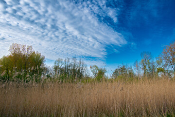 Obraz premium Krajobraz z niebem