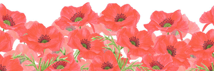 Hand drawn watercolor red poppy flowers seamless frame border isolated on white background. Can be used for banner, textile and other printed products.