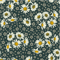 Textile and wallpaper patterns. Working with vector illustrations for printing. Daisy floral prints.