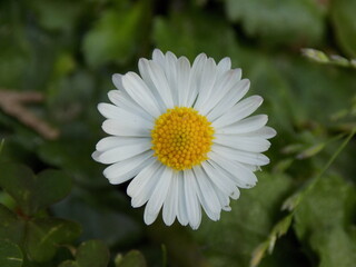 white work photographed from close up