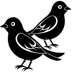 two bird on white background -vector illustration