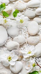 Wellness bright calming background with pebbles and white flowers