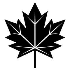 leaf white background -Vector illustration