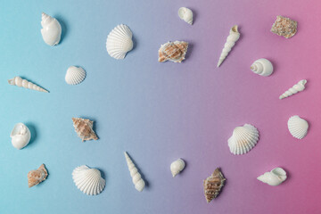 Creative composition with seashells on gradient pastel pink and blue background. Summer minimal concept.