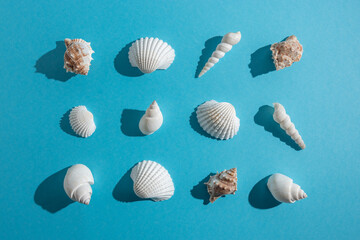Creative seashell pattern on pastel blue background. Summer minimal concept.
