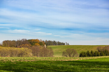 Idyllic landscape with green meadows and blooming trees. - obrazy, fototapety, plakaty