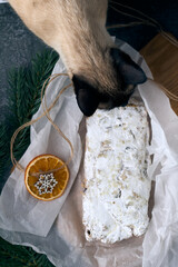 Top view Christmas stollen decorated with dried orange fruits and and a curious cat