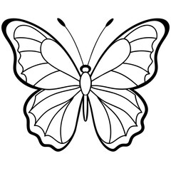     Butterfly vector illustration.
