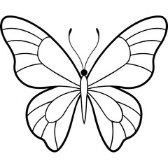     Butterfly vector illustration.
