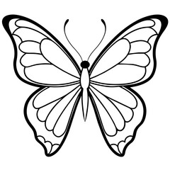     Butterfly vector illustration.
