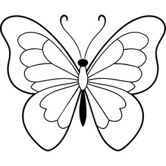     Butterfly vector illustration.
