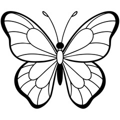     Butterfly vector illustration.
