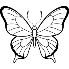     Butterfly vector illustration.
