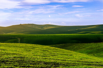 Fototapeta premium green spring or fummer farm field. rural landscape of countryside wirh agriculture view in farmland with beautiful cloudy sky on background