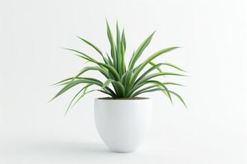 plant realistic realistic plant 3d model