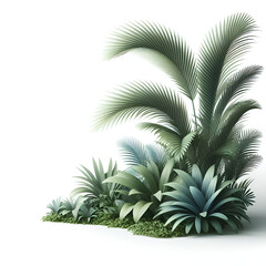 Obraz premium Realistic palm leaves isolated on white baclground