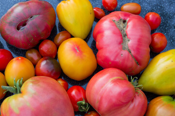 Group of colorful tomatoes from above, macro photography - 782083312