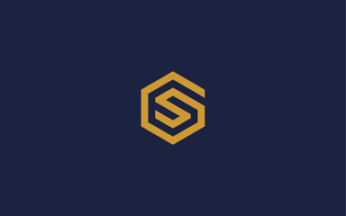letter gs with hexagon logo icon design vector design template inspiration