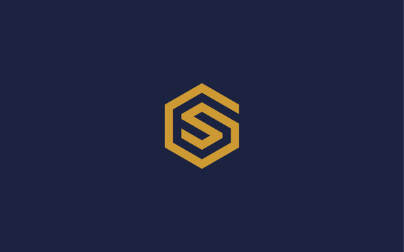 letter gs with hexagon logo icon design vector design template inspiration