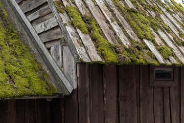 Old wooden house exterior details. Roof with green moss and walls