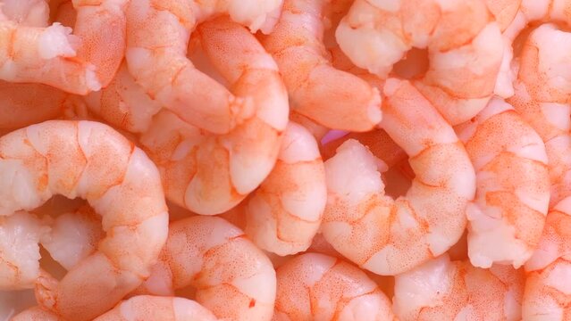 Shrimps. Fresh peeled Prawns rotating background. Preparing healthy sea food, cooking, diet, nutrition concept. Macro shot. Slow motion. Top view 