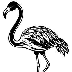illustration of a flamingo Colouring page for kids -vector illustration
