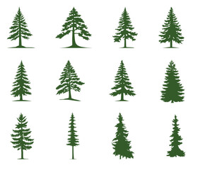 Set of silhouettes of coniferous trees. Various Christmas trees, cedar, pine and other needles