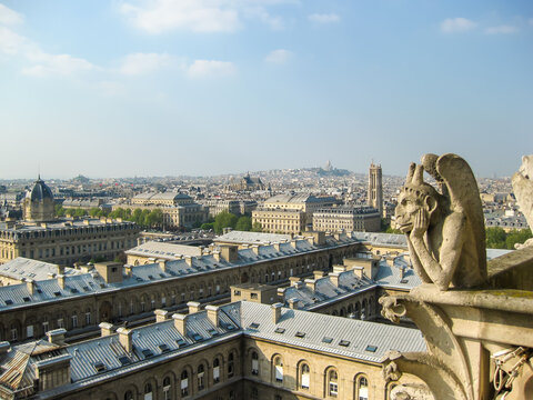 Paris cityscape seen from top of Notre-dame Cathedral, France