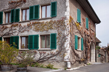 Charming old house with green shutters embraced by climbing plants in a quaint Swiss village,...