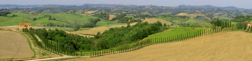 Hügelige Landschaft in der Toskana, Italien, Europa, Panorama  - obrazy, fototapety, plakaty