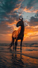 A horse stands immersed in the warm sunset light, with the gentle sea waves lapping at its feet.