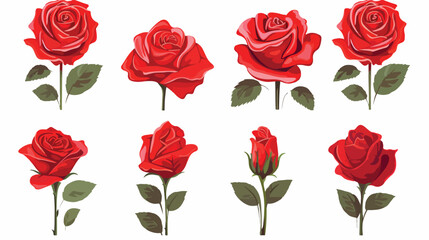 Set of beautiful red roses isolated on white backgr
