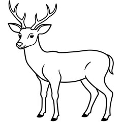 Fototapeta premium Deer vector illustration style. 