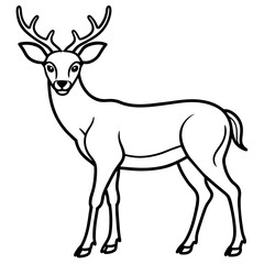       Deer  vector illustration style.
