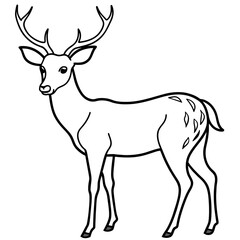       Deer  vector illustration style.
