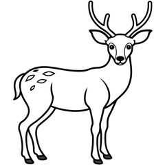       Deer  vector illustration style.
