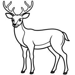 Fototapeta premium Deer vector illustration style. 