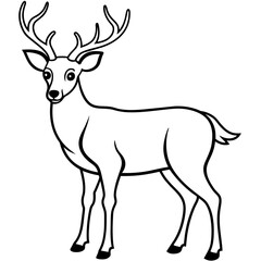       Deer  vector illustration style.
